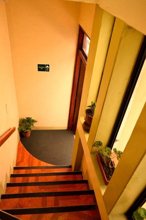 Hostal Cormorant Flightless פורטו איורה מראה חיצוני תמונה
