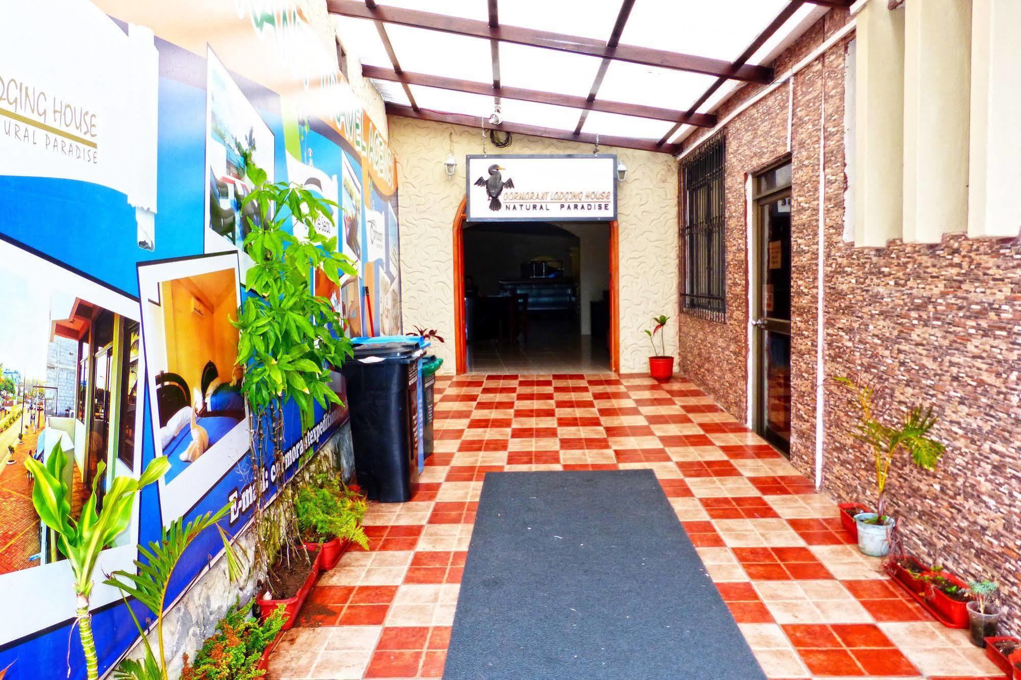 Hostal Cormorant Flightless פורטו איורה מראה חיצוני תמונה