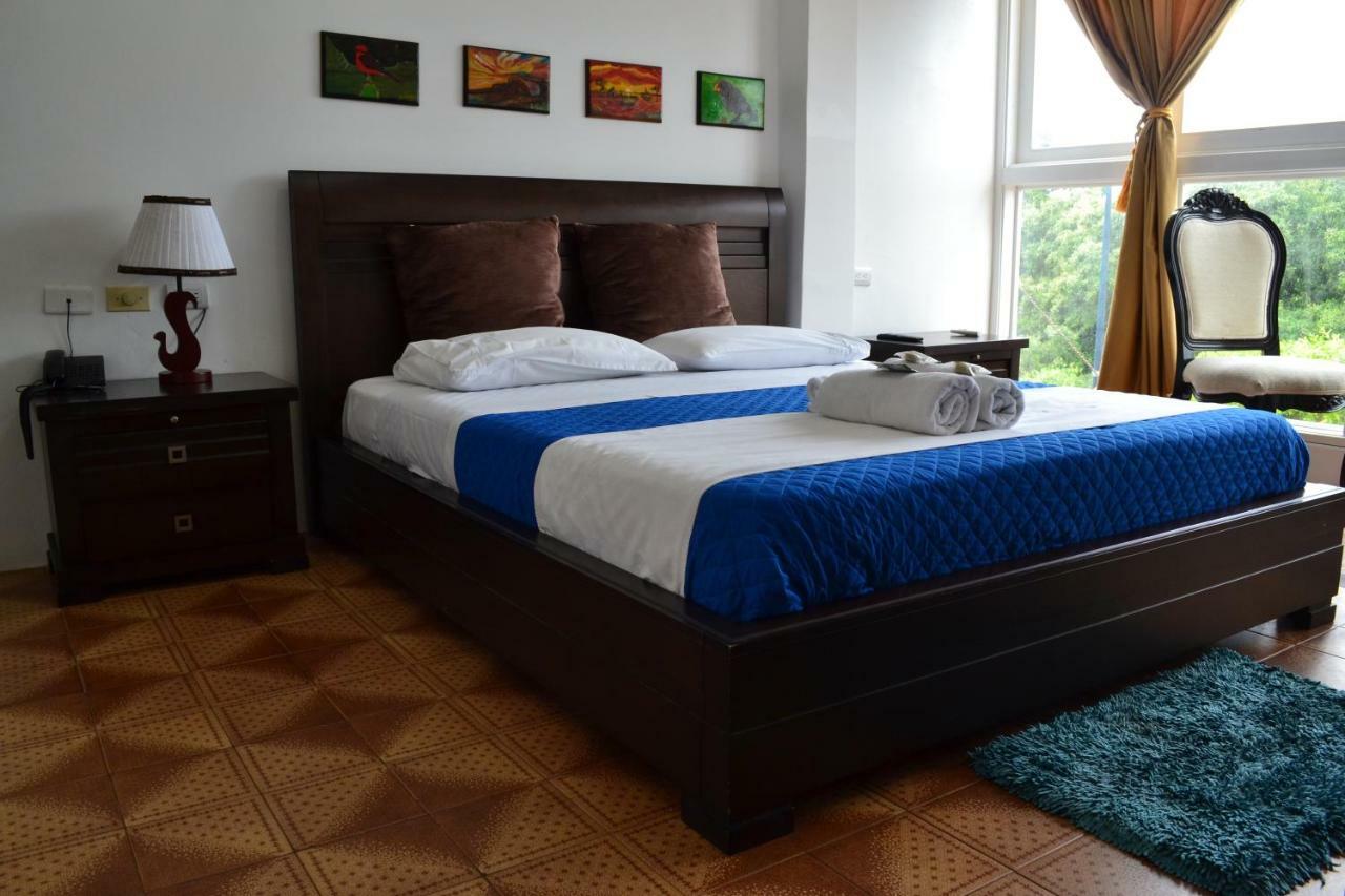Hostal Cormorant Flightless פורטו איורה מראה חיצוני תמונה